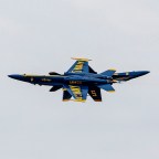 The Blues Take Flight