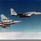 Wolfhounds and Floggers