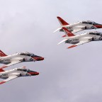 #TrainerTuesday – Flight of the Goshawk