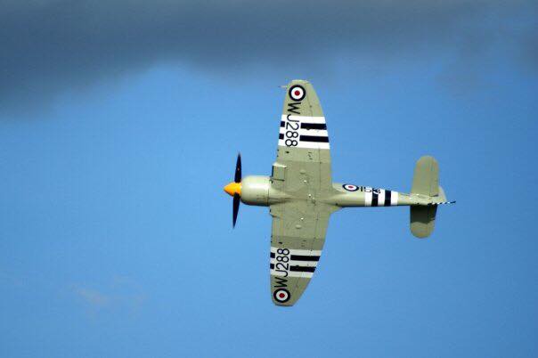 A Sea Fury at Oshkosh 2009. Copyright: Dave Snyder, 2009.