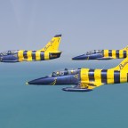 Here’s Your Chance to Fly With the Baltic Bees